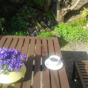 https://harrington-house-hostel.dublin-hotelsweb.com